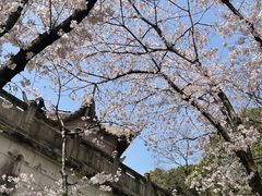 -苏州上方山国家森林公园