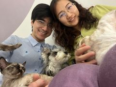 -琪喵猫屋·撸猫猫咖·猫舍