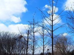 -永定河休闲森林公园