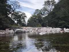 -青峰峡国家森林公园