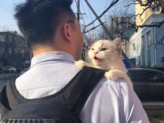 -康乐宝动物医院