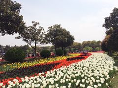 -上海鲜花港