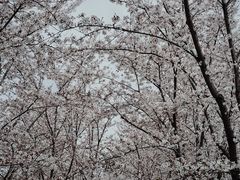 -龙美术馆西岸馆-停车场