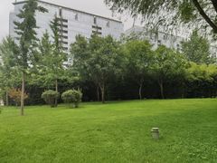 -唐城墙遗址公园