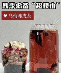 -雅曼妮spa美容养生