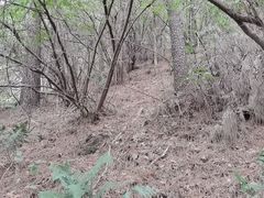 -敬亭山风景名胜区