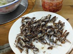 -力哥地道海南菜·联谊文昌鸡老店