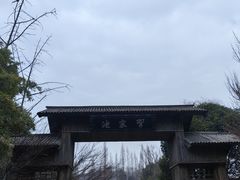 -习家池
