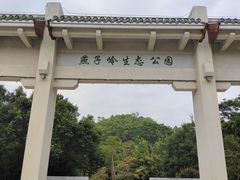 -燕子岭公园
