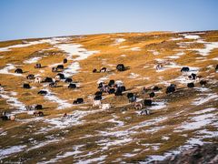 -天山神秘大峡谷