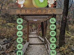 -大岭沟猕猴桃谷风景区