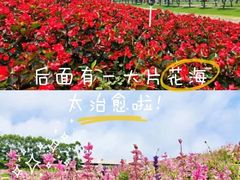 -迪茵湖田家舍生态农场