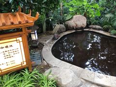 -郑州银基黄帝宫御温泉