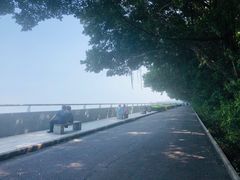 -大湾区中央湿地公园
