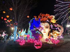 -淄博花灯齐彩城