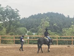-枫露马术学院(藏书校区)