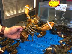 -船歌·鱼水饺青岛菜(闽江二路店)