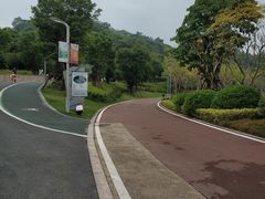 -飞凤山奥体公园