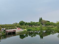 -眉山湿地公园(东坡区)