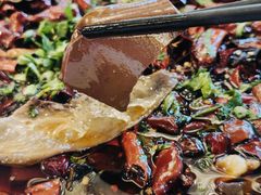 -陈麻婆豆腐总店