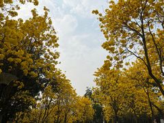 -天河儿童公园