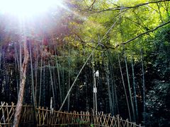 -韶山毛泽东同志故居