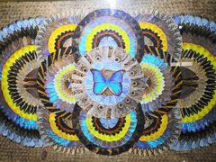 -上海昆虫博物馆