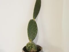 -PANCAKE私宅甜点(雅山新天地店)