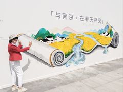 -龙湖南京江北天街