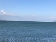 -野菌皇海景野生菌火锅(滨海大道店)
