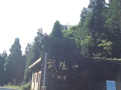 -武陵山森林公园