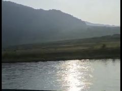 -江心岛