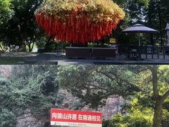 -狼山风景名胜区