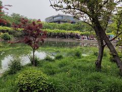 -嘉定紫藤园