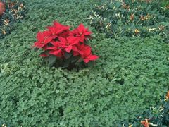 -佳乐家(新华店)