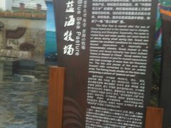 -枸杞岛