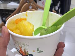 -三佰瑞冻酸奶(凯德MALL店)