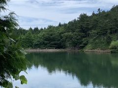 -四明山国家森林公园