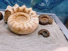 -大同煤炭博物馆