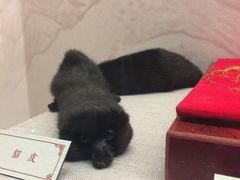 -叶赫那拉城