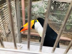 -南宫五洲植物乐园