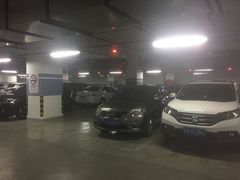场地-紫荆广场-停车场