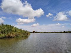 -宁波杭州湾国家湿地公园