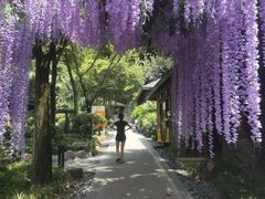 -融汇温泉