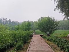 -东郊湿地公园