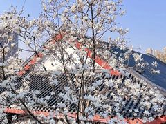 -堤角公园