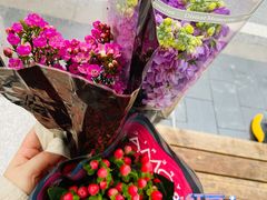 -循礼门鲜花花市(武汉循礼门店)