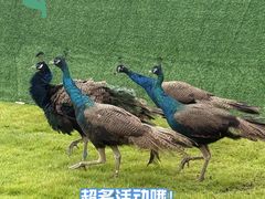 -长沙悦方ID MALL
