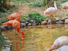 -昆明动物园