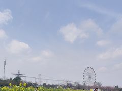 -金卉庄园